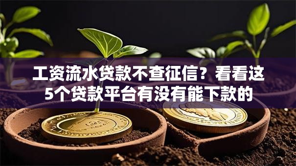 工资流水贷款不查征信？看看这5个贷款平台有没有能下款的