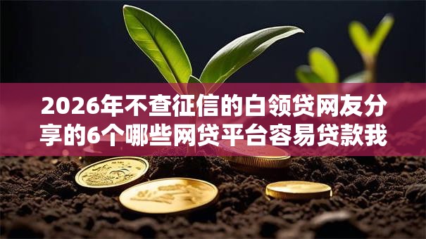 2026年不查征信的白领贷网友分享的6个哪些网贷平台容易贷款我觉得不错！