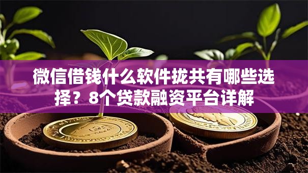 微信借钱什么软件拢共有哪些选择？8个贷款融资平台详解