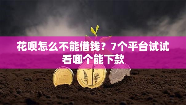 花呗怎么不能借钱?7个平台试试看哪个能下款 花呗怎么不能借钱?7个平台试试看哪个能下款