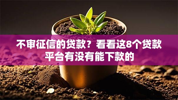 不审征信的贷款？看看这8个贷款平台有没有能下款的