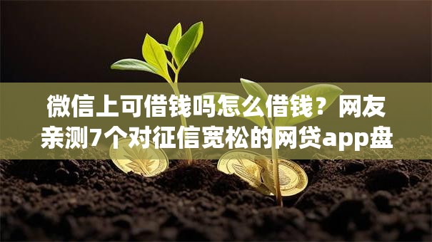微信上可借钱吗怎么借钱？网友亲测7个对征信宽松的网贷app盘点