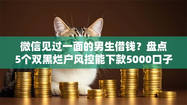 微信见过一面的男生借钱？盘点5个双黑烂户风控能下款5000口子给你参考
