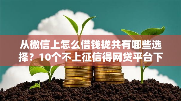 从微信上怎么借钱拢共有哪些选择？10个不上征信得网贷平台下载详解