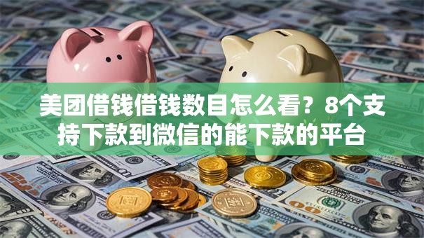 美团借钱借钱数目怎么看？8个支持下款到微信的能下款的平台