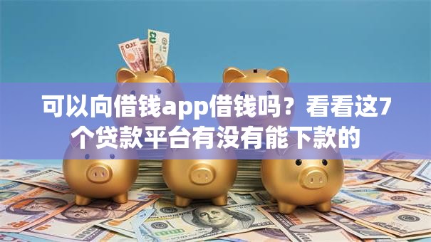 可以向借钱app借钱吗？看看这7个贷款平台有没有能下款的