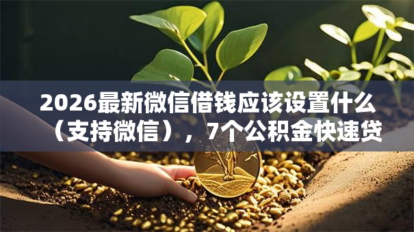 2026最新微信借钱应该设置什么(支持微信),7个公积金快速贷款平台无私分享 2026最新微信借钱应该设置什么(支持微信),7个公积金快速贷款平台无私分享