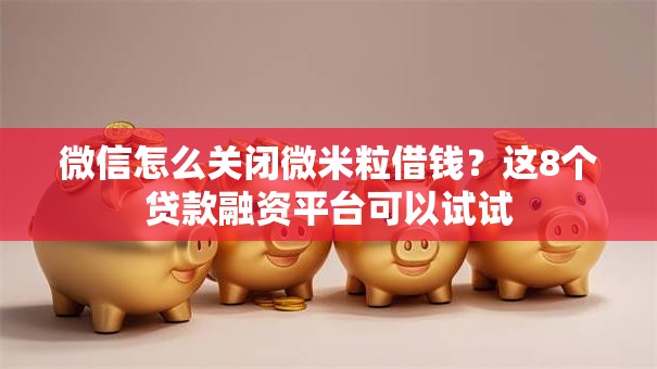 微信怎么关闭微米粒借钱？这8个贷款融资平台可以试试