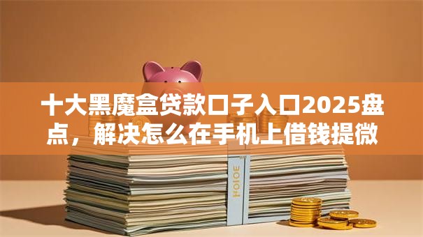 十大黑魔盒贷款口子入口2025盘点，解决怎么在手机上借钱提微信的问题
