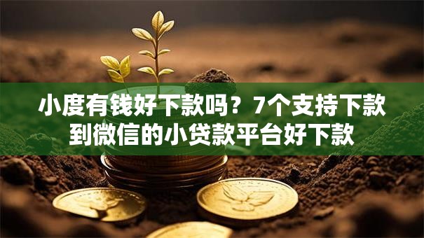小度有钱好下款吗？7个支持下款到微信的小贷款平台好下款