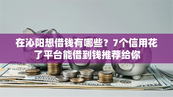 在沁阳想借钱有哪些？7个信用花了平台能借到钱推荐给你