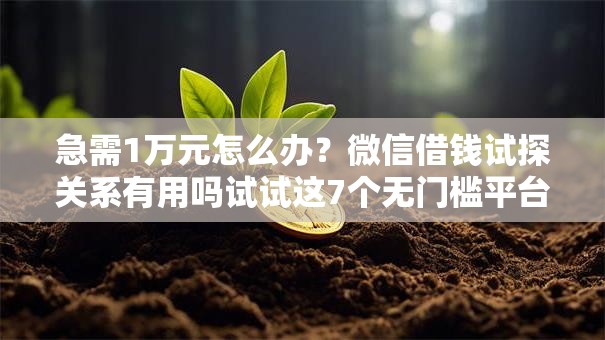 急需1万元怎么办?微信借钱试探关系有用吗试试这7个无门槛平台 急需1万元怎么办?微信借钱试探关系有用吗试试这7个无门槛平台