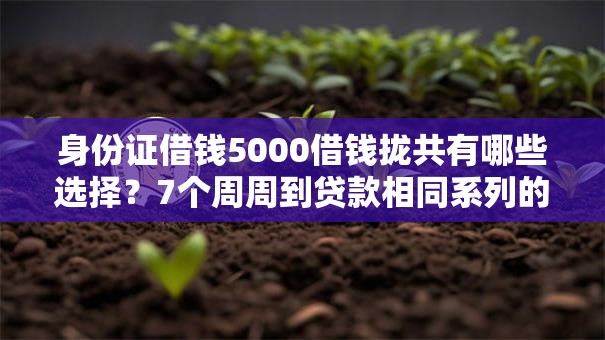 身份证借钱5000借钱拢共有哪些选择？7个周周到贷款相同系列的平台详解