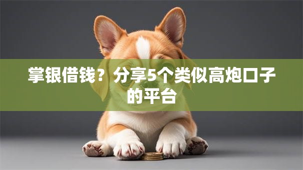 掌银借钱?分享5个类似高炮口子的平台 掌银借钱?分享5个类似高炮口子的平台