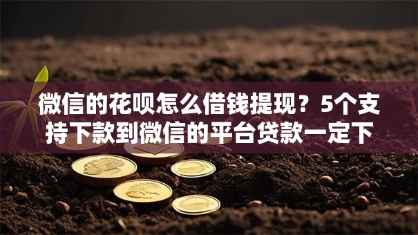 微信的花呗怎么借钱提现？5个支持下款到微信的平台贷款一定下得来