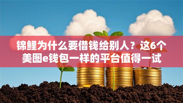 锦鲤为什么要借钱给别人？这6个美图e钱包一样的平台值得一试