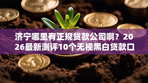 济宁哪里有正规贷款公司啊？2026最新测评10个无视黑白贷款口子