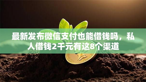 最新发布微信支付也能借钱吗，私人借钱2千元有这8个渠道