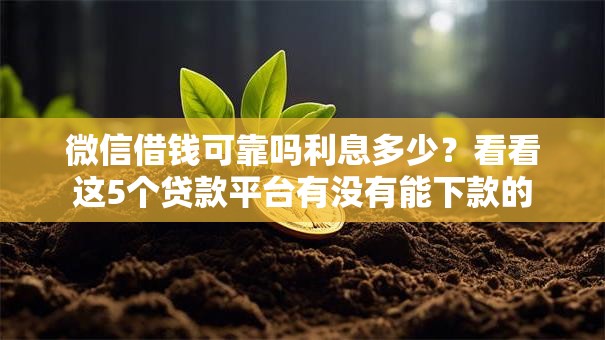 微信借钱可靠吗利息多少?看看这5个贷款平台有没有能下款的 微信借钱可靠吗利息多少?看看这5个贷款平台有没有能下款的