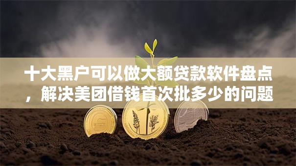 十大黑户可以做大额贷款软件盘点，解决美团借钱首次批多少的问题