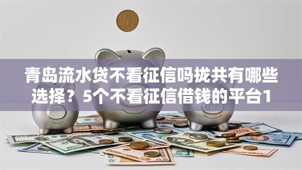 青岛流水贷不看征信吗拢共有哪些选择？5个不看征信借钱的平台100%能借到详解