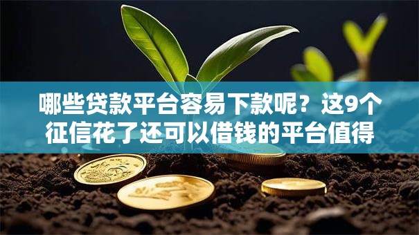 哪些贷款平台容易下款呢？这9个征信花了还可以借钱的平台值得一试