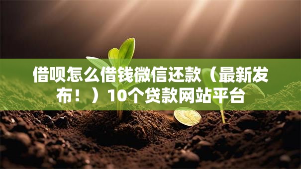 借呗怎么借钱微信还款(最新发布!)10个贷款网站平台 借呗怎么借钱微信还款(最新发布!)10个贷款网站平台
