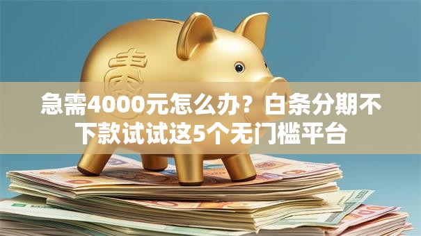 急需4000元怎么办？白条分期不下款试试这5个无门槛平台