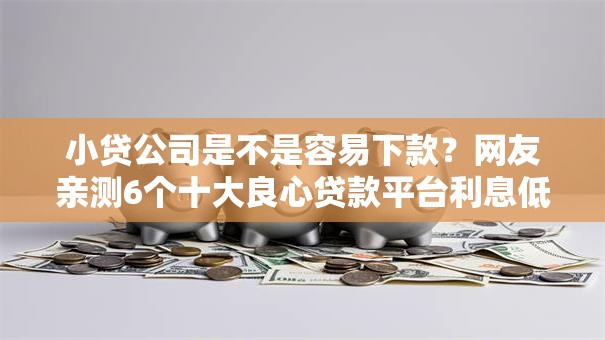 小贷公司是不是容易下款？网友亲测6个十大良心贷款平台利息低一点盘点