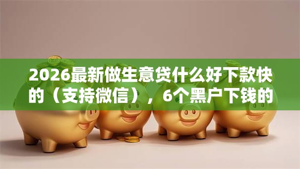 2026最新做生意贷什么好下款快的(支持微信),6个黑户下钱的口子无私分享 2026最新做生意贷什么好下款快的(支持微信),6个黑户下钱的口子无私分享