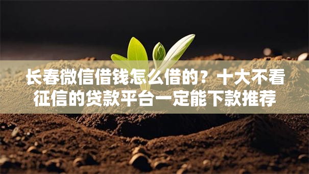长春微信借钱怎么借的？十大不看征信的贷款平台一定能下款推荐