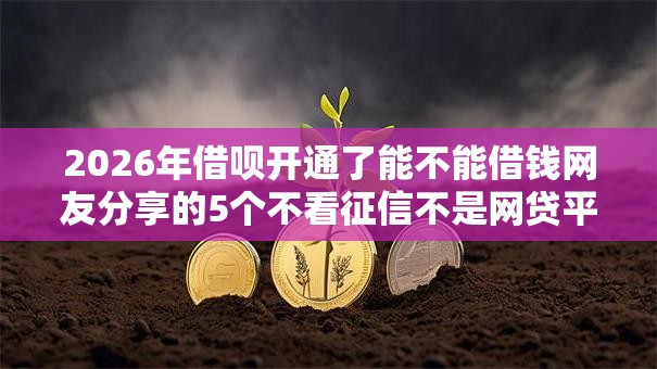2026年借呗开通了能不能借钱网友分享的5个不看征信不是网贷平台我觉得不错！