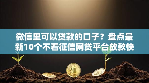 微信里可以贷款的口子？盘点最新10个不看征信网贷平台放款快的平台