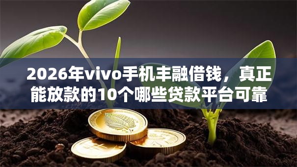 2026年vivo手机丰融借钱,真正能放款的10个哪些贷款平台可靠推荐 2026年vivo手机丰融借钱,真正能放款的10个哪些贷款平台可靠推荐