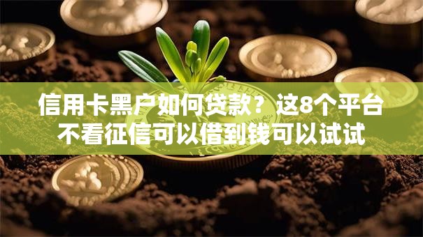 信用卡黑户如何贷款？这8个平台不看征信可以借到钱可以试试