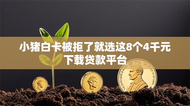 小猪白卡被拒了就选这8个4千元下载贷款平台