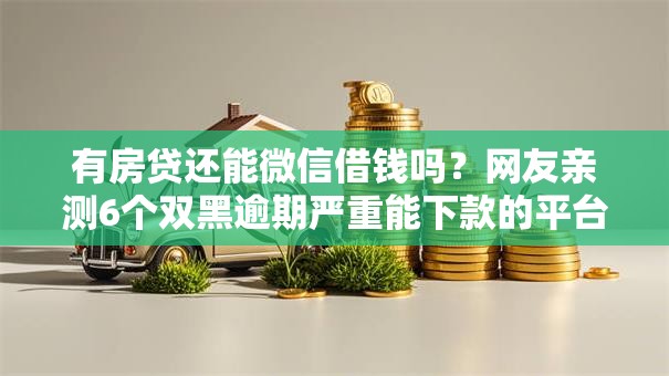 有房贷还能微信借钱吗?网友亲测6个双黑逾期严重能下款的平台盘点 有房贷还能微信借钱吗?网友亲测6个双黑逾期严重能下款的平台盘点