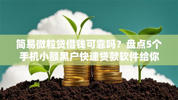简易微粒贷借钱可靠吗？盘点5个手机小额黑户快速贷款软件给你参考