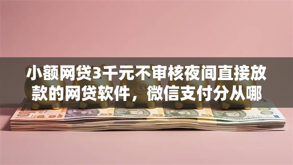 小额网贷3千元不审核夜间直接放款的网贷软件,微信支付分从哪里找到的7个平台介绍 小额网贷3千元不审核夜间直接放款的网贷软件,微信支付分从哪里找到的7个平台介绍