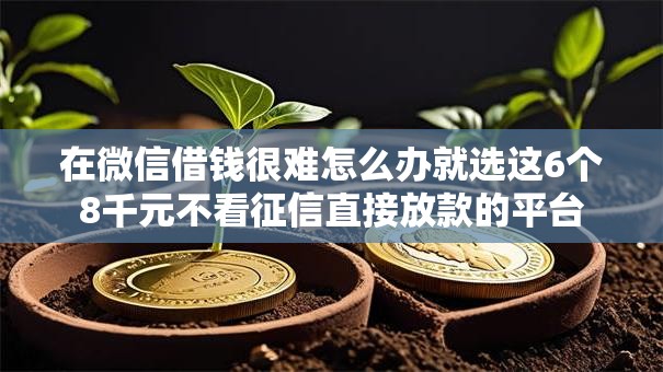 在微信借钱很难怎么办就选这6个8千元不看征信直接放款的平台 在微信借钱很难怎么办就选这6个8千元不看征信直接放款的平台