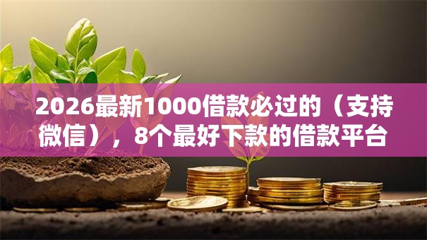 2026最新1000借款必过的（支持微信），8个最好下款的借款平台无私分享