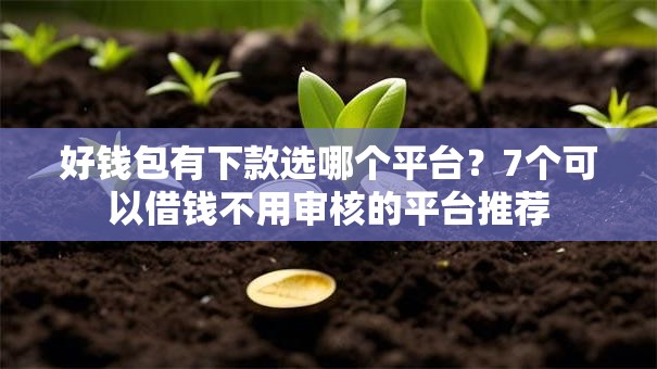 好钱包有下款选哪个平台？7个可以借钱不用审核的平台推荐