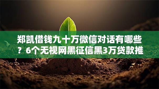 郑凯借钱九十万微信对话有哪些？6个无视网黑征信黑3万贷款推荐给你