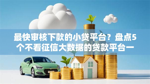 最快审核下款的小贷平台？盘点5个不看征信大数据的贷款平台一定能下款给你参考