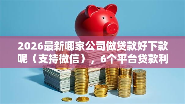 2026最新哪家公司做贷款好下款呢（支持微信），6个平台贷款利率低无私分享