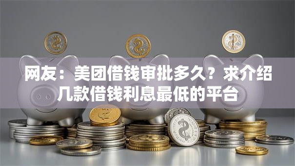 网友：美团借钱审批多久？求介绍几款借钱利息最低的平台