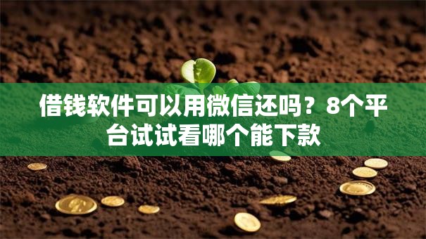 借钱软件可以用微信还吗？8个平台试试看哪个能下款