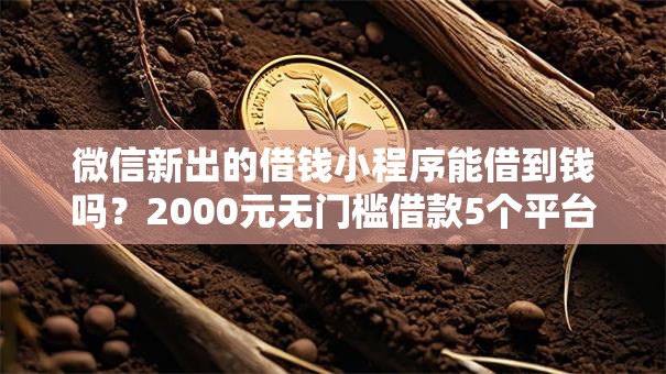 微信新出的借钱小程序能借到钱吗？2000元无门槛借款5个平台推荐