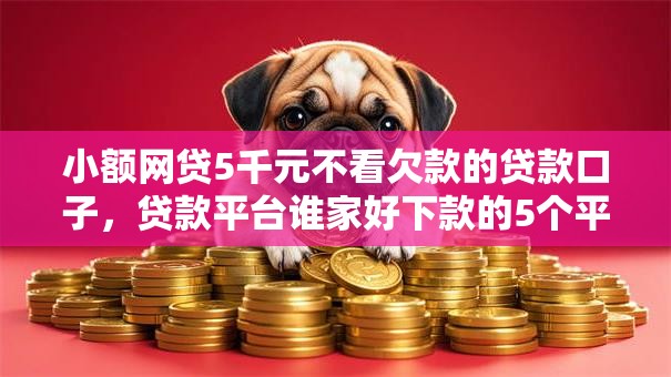 小额网贷5千元不看欠款的贷款口子，贷款平台谁家好下款的5个平台介绍