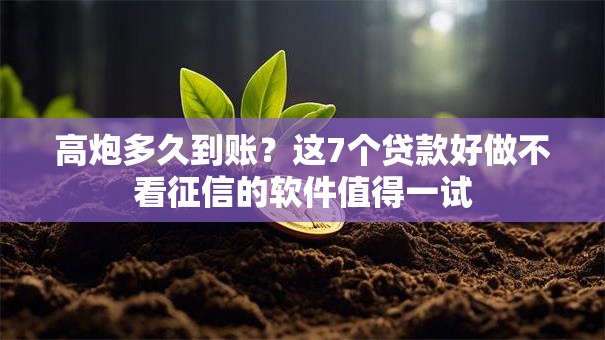 高炮多久到账？这7个贷款好做不看征信的软件值得一试